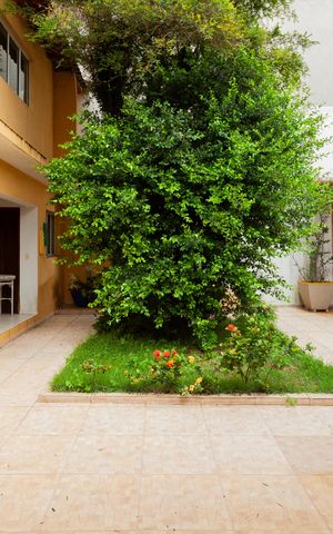 Casa à venda com 300m², 4 quartos e 2 vagasQuintal