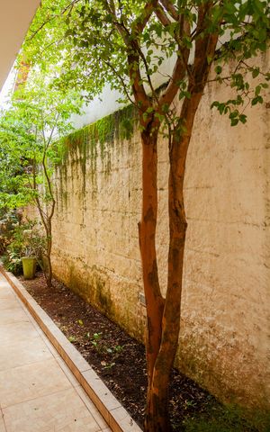 Casa à venda com 300m², 4 quartos e 2 vagasCorredor