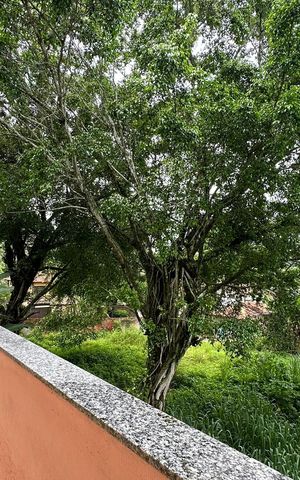 Casa à venda com 300m², 5 quartos e 2 vagasVaranda