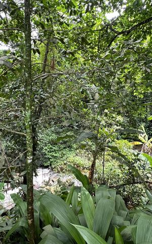 Casa à venda com 300m², 5 quartos e 2 vagasCachoeira 