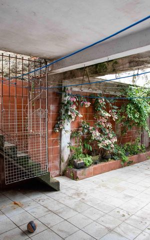 Casa à venda com 257m², 6 quartos e 3 vagasQuintal