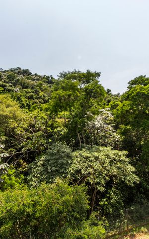 Casa de condomínio à venda com 320m², 4 quartos e 2 vagasVista