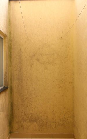 Casa de condomínio à venda com 80m², 2 quartos e 2 vagas Casa de condomínio à venda com 80m², 2 quartos e 2 vagasÁrea de Serviço