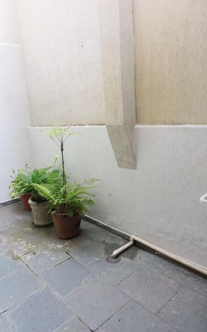 Casa à venda com 219m², 4 quartos e 4 vagasÁrea de Serviço