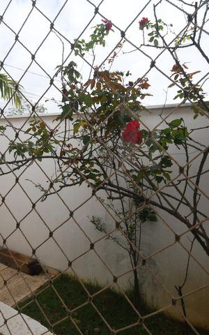 Casa de condomínio à venda com 431m², 4 quartos e 2 vagasQuarto 4 - Suíte Vista