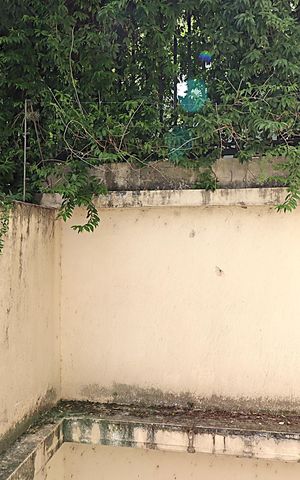 Apartamento à venda com 160m², 3 quartos e 3 vagasVista da Área de Serviço