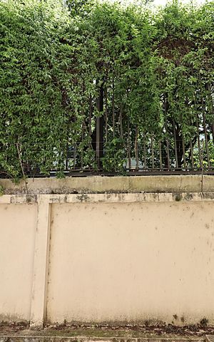 Apartamento à venda com 160m², 3 quartos e 3 vagasVista do Quarto 3