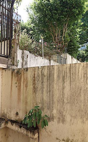 Apartamento à venda com 160m², 3 quartos e 3 vagasVista da Suíte