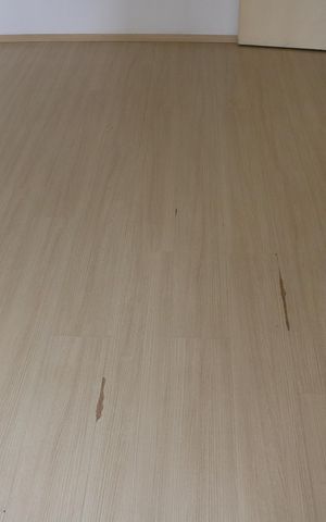 Apartamento à venda com 48m², 2 quartos e 1 vagaSala