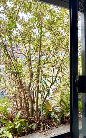 Apartamento para alugar com 187m², 4 quartos e 1 vagaQuarto 1 - vista