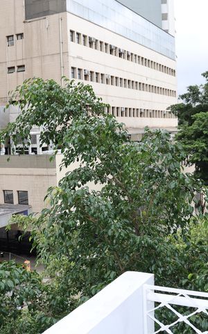 Apartamento à venda com 119m², 4 quartos e 1 vagaVaranda