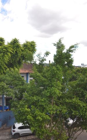 Casa para alugar com 400m², 7 quartos e 4 vagasVista da Suite
