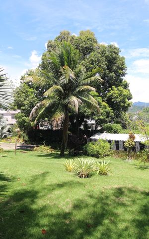 Casa à venda com 1316m², 7 quartos e 26 vagasQuintal