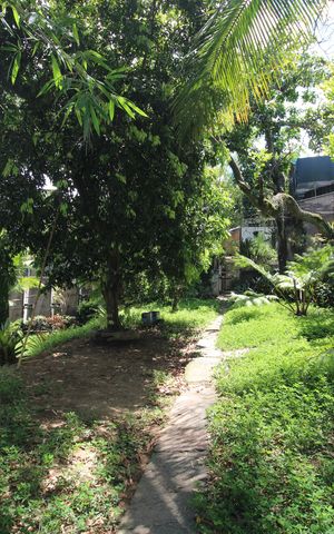 Casa à venda com 1316m², 7 quartos e 26 vagasQuintal