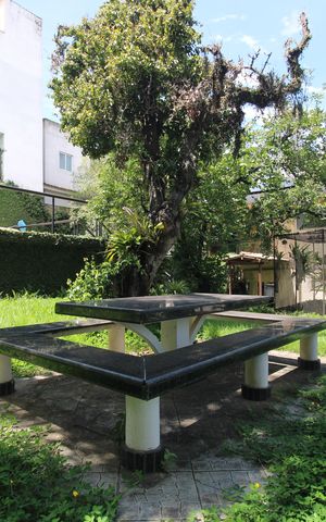 Casa à venda com 1316m², 7 quartos e 26 vagasQuintal