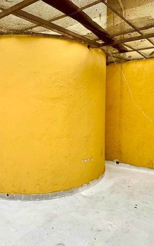 Casa à venda com 148m², 7 quartos e 2 vagasQuintal