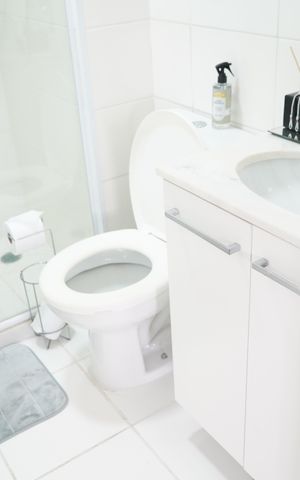 Apartamento à venda com 55m², 2 quartos e 1 vagaBanheiro