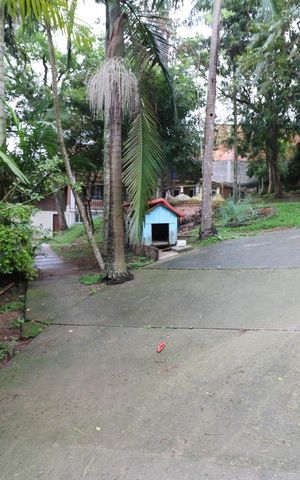 Casa à venda com 700m², 20 quartos e 8 vagas Casa à venda com 700m², 20 quartos e 8 vagasÁrea Externa