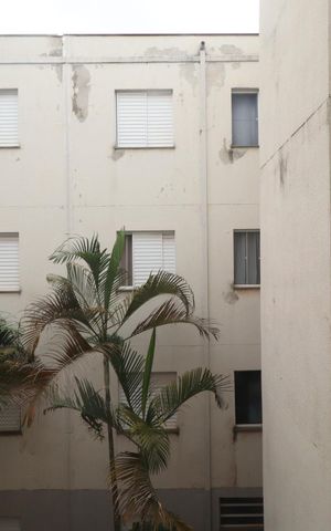 Apartamento para alugar com 50m², 2 quartos e 1 vagaVista