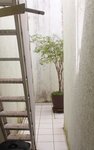 Casa à venda com 299m², 3 quartos e 4 vagasQuintal