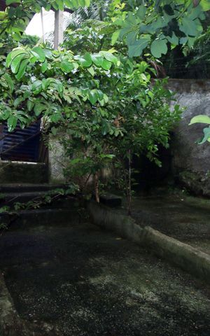 Casa à venda com 324m², 6 quartos e sem vagaQuintal