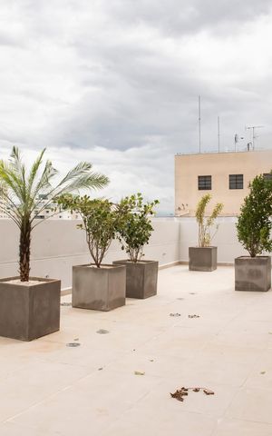 Apartamento à venda com 27m², 1 quarto e sem vagaÁrea comum - Rooftop