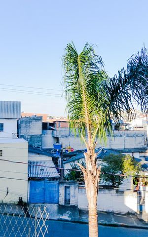 Apartamento para alugar com 42m², 2 quartos e 1 vagaVista Quarto 1 