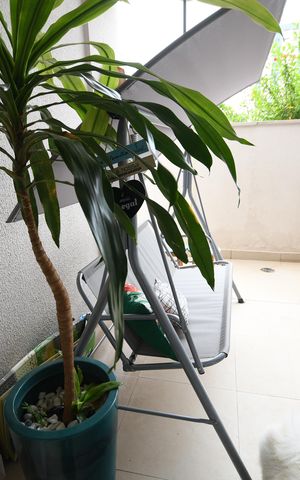 Apartamento à venda com 117m², 3 quartos e 2 vagasSala - Quintal