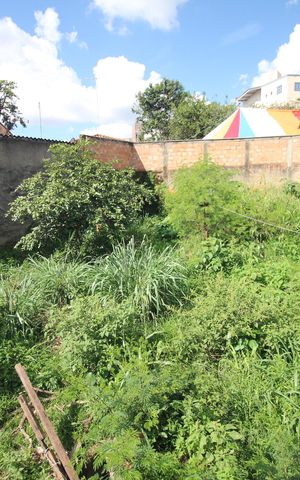 Casa à venda com 660m², 8 quartos e 5 vagasQuintal