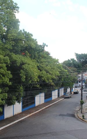Casa à venda com 240m², 4 quartos e 2 vagasVista do Quarto 1