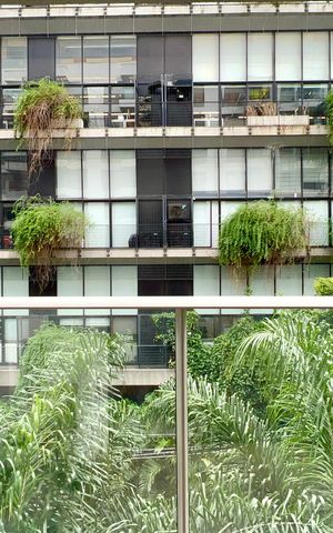 Studio para alugar com 33m², 1 quarto e 1 vaga Studio para alugar com 33m², 1 quarto e 1 vagaVaranda
