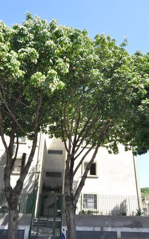 Apartamento para alugar com 53m², 2 quartos e 1 vagaFachada