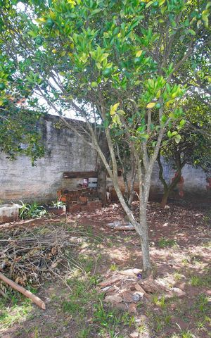 Casa à venda com 360m², 3 quartos e 4 vagasQuintal