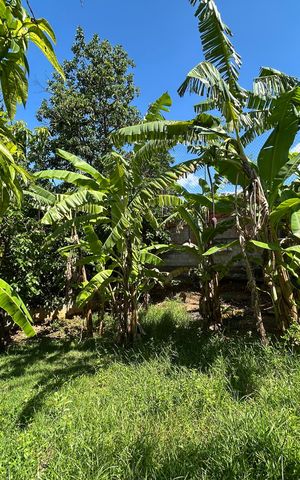 Casa à venda com 121m², 2 quartos e 1 vagaQuintal