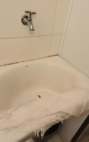 Apartamento à venda com 39m², 2 quartos e 1 vagaÁrea de Serviço - Tanque