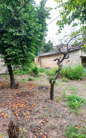 Casa para alugar com 1000m², 3 quartos e 7 vagasQuintal