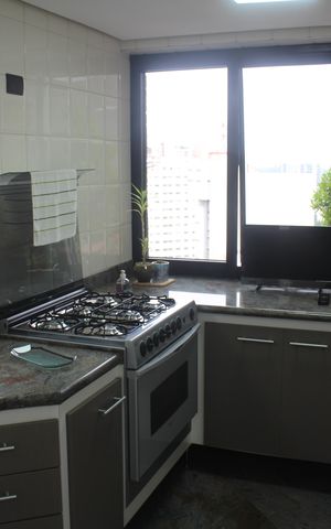 Apartamento à venda com 348m², 3 quartos e 3 vagasCozinha