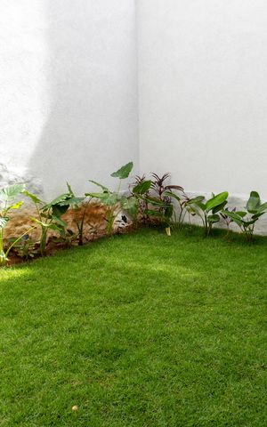 Casa à venda com 360m², 5 quartos e 4 vagasQuintal