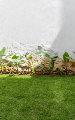 Casa à venda com 360m², 5 quartos e 4 vagasQuintal
