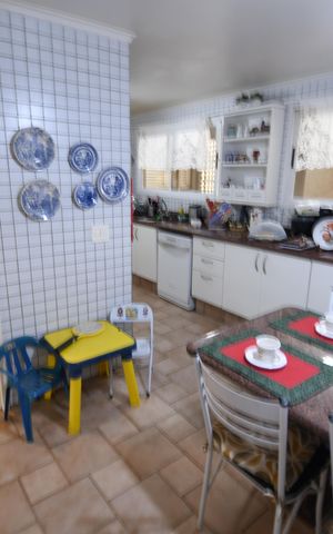 Apartamento à venda com 226m², 4 quartos e 4 vagasCozinha
