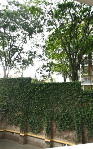Apartamento à venda com 226m², 4 quartos e 4 vagasQuarto 3 - Suíte Vista