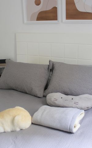 Apartamento à venda com 71m², 3 quartos e 2 vagasSuíte 