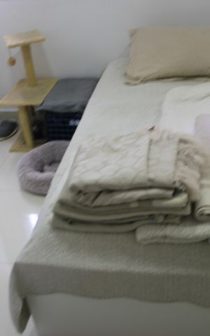 Apartamento à venda com 71m², 3 quartos e 2 vagasQuarto 1