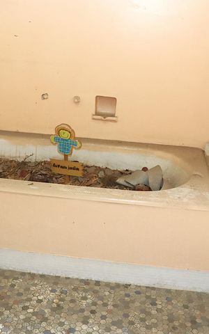 Apartamento para alugar com 90m², 2 quartos e sem vagaBanheiro social