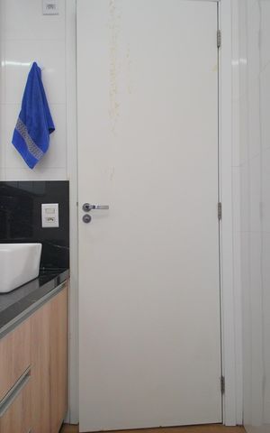 Apartamento para alugar com 270m², 1 quarto e 5 vagasBanheiro