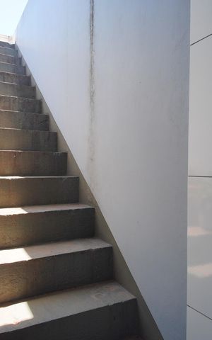 Apartamento para alugar com 270m², 1 quarto e 5 vagasÁrea de Serviço