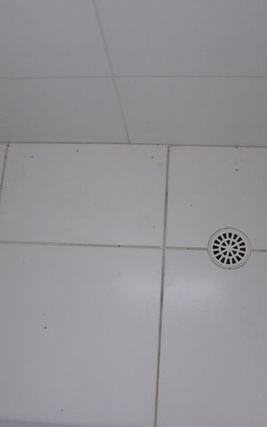 Apartamento à venda com 57m², 2 quartos e 1 vagaBanheiro social
