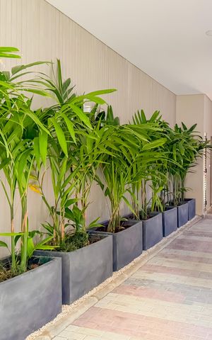 Apartamento à venda com 28m², 1 quarto e sem vaga Apartamento à venda com 28m², 1 quarto e sem vagaEntrada