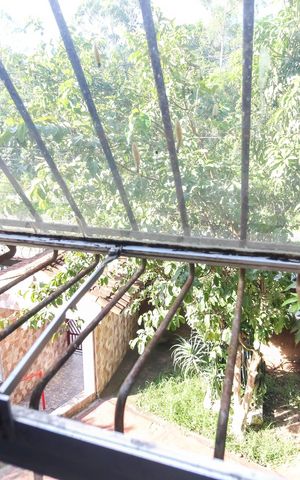 Apartamento para alugar com 50m², 3 quartos e 1 vaga Apartamento para alugar com 50m², 3 quartos e 1 vagaVista do Quarto 2