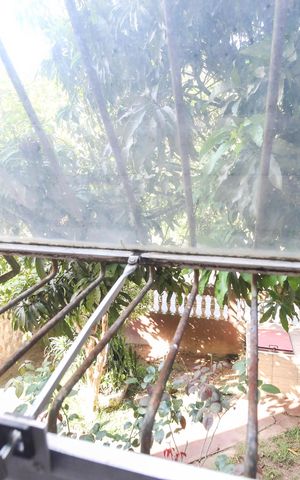 Apartamento para alugar com 50m², 3 quartos e 1 vaga Apartamento para alugar com 50m², 3 quartos e 1 vagaVista do Quarto 1
